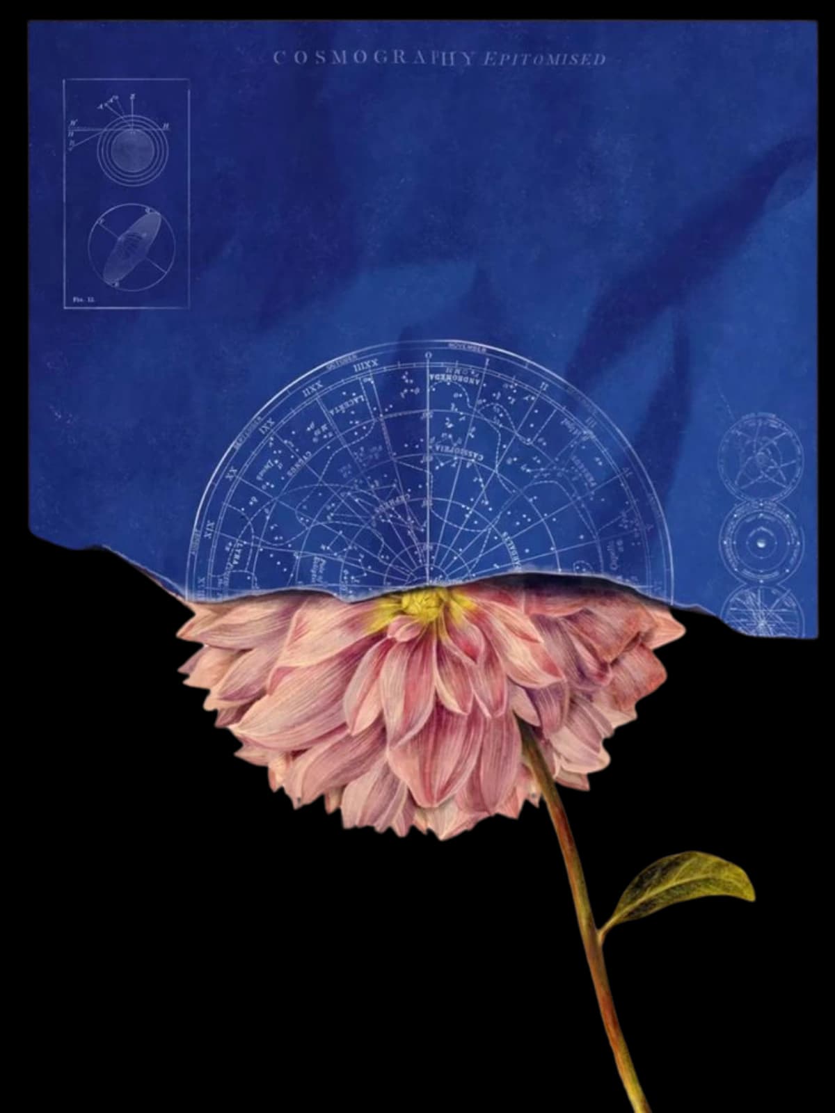 Astrology and pattern editorial detail