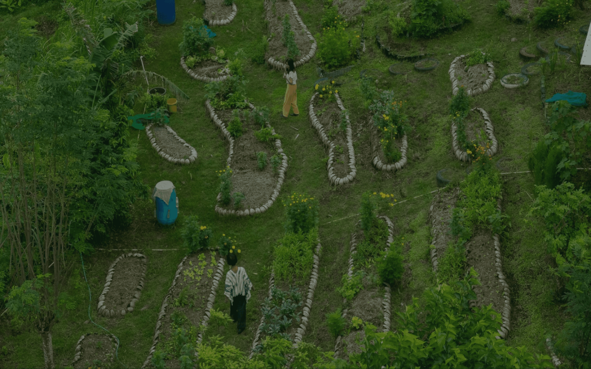 Inner Ecology land-based experience